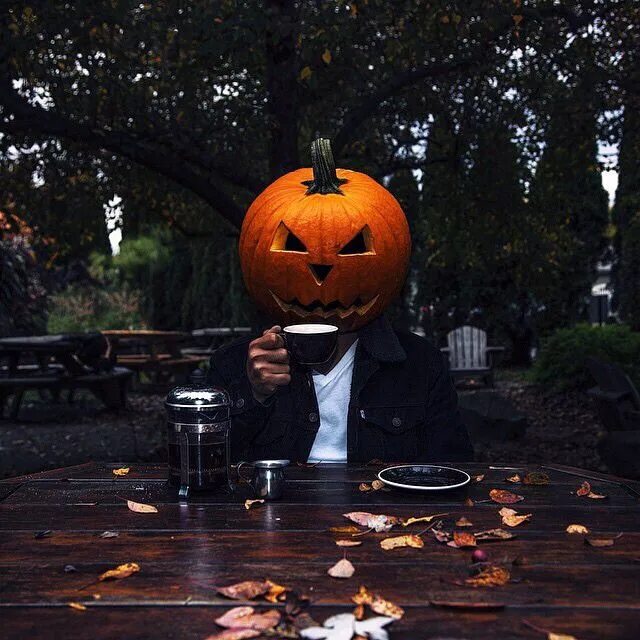 Хэллоуин эстетика пинтерест. Pumpkin head girl photoshoot. Пампкин. Тыквенная пара. Тыквоголовый джек.