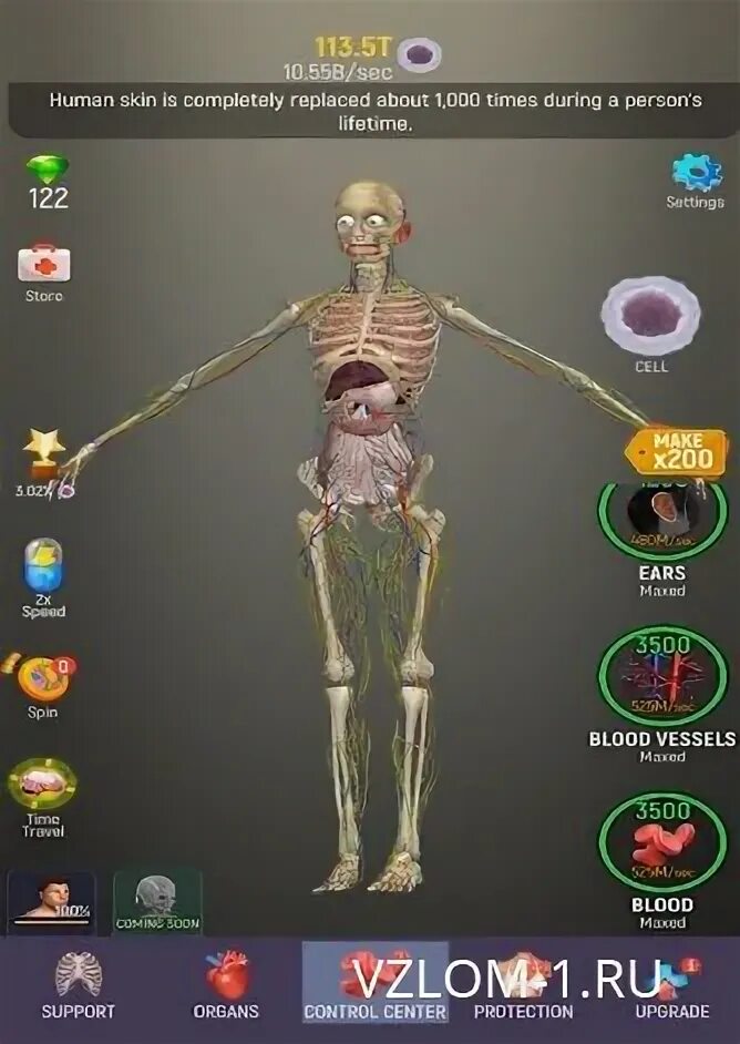Анатомическая игра. Idle human последняя версия. Idle human. Evolution yeti. Idle human последняя версия.