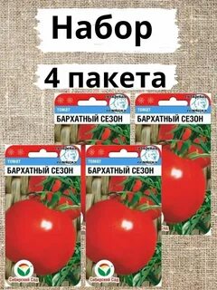 Помидоры бархатные рецепт