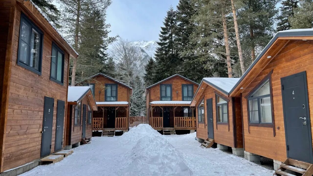 Хвоя архыз. Elidas house архыз. Сосна на кавказе. Шале форрест архыз. Шале форест архыз.