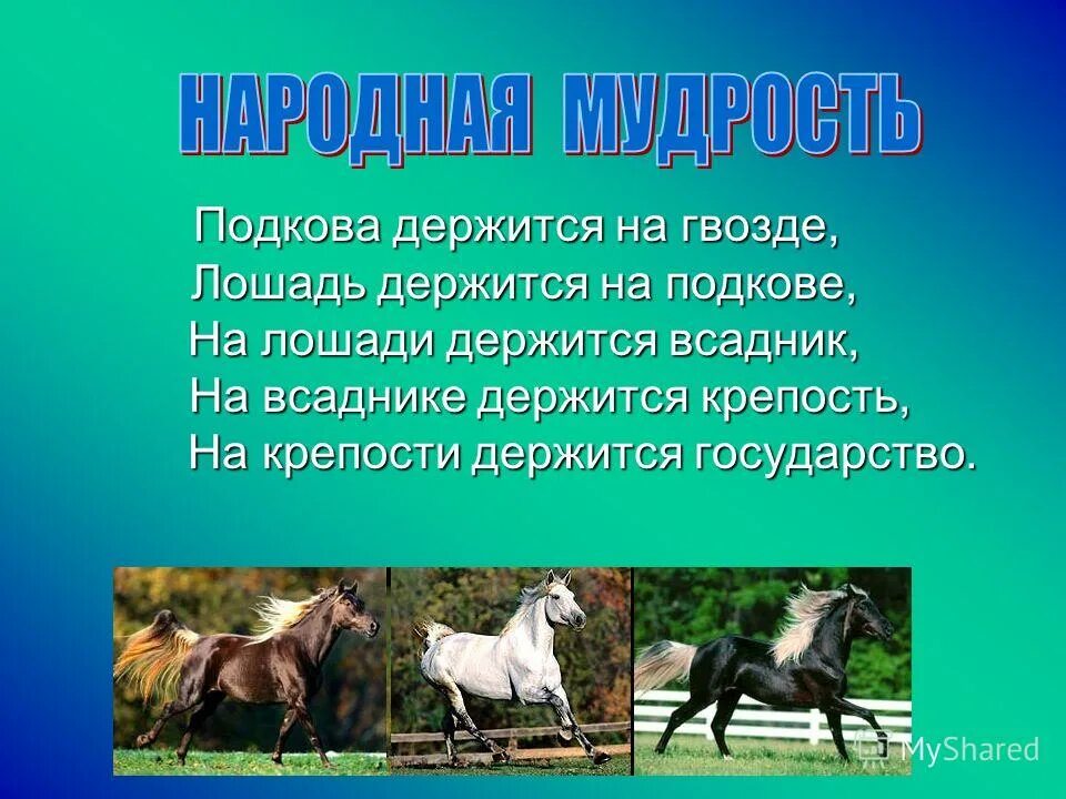 падежи. определить падеж гуляли в роще. всадник на лошади падеж. лошадь склонение по падежам. всадник на лошади падеж.