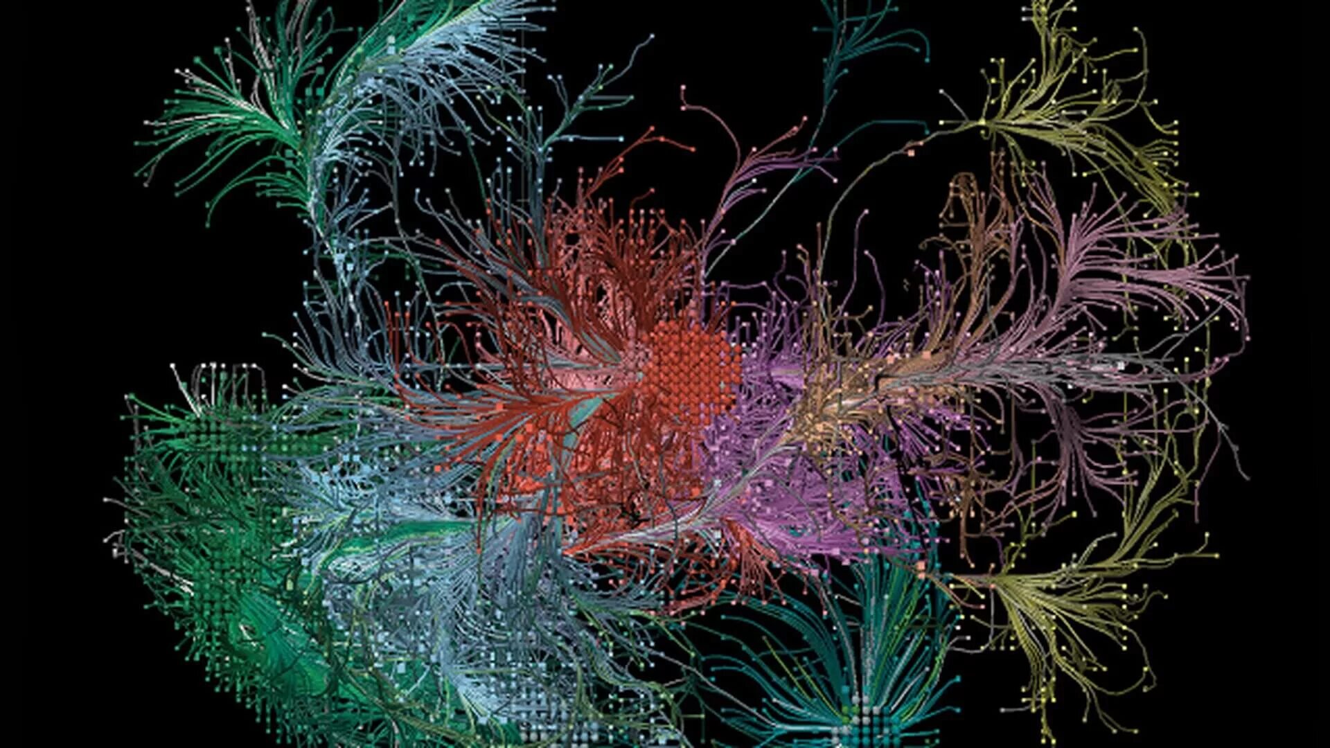 Нейронные микросети. Нейронная сеть мозга. Нейронная карта мозга. Нейронные сети головного мозга.
