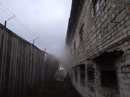 30 колоний