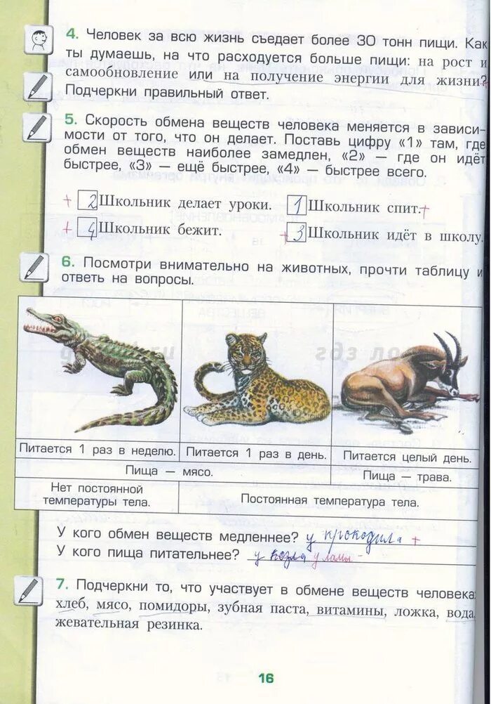 Окр мир. Новицкая. Рабочая тетрадь окружающий мир 3 класс плешаков стр 14. Окружающий мир. Окружающий мир 3 класс рабочая тетрадь.