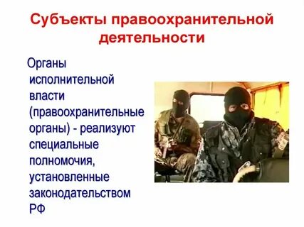 Органы способствующие правоохранительной деятельности