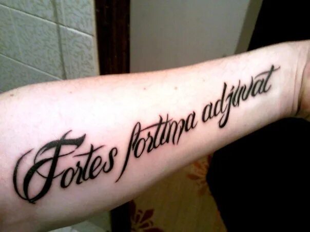 Полюби свою судьбу на латыни тату фото Latin text tattoo lettering Tattoo lettering, Text tattoo, Tattoo quotes