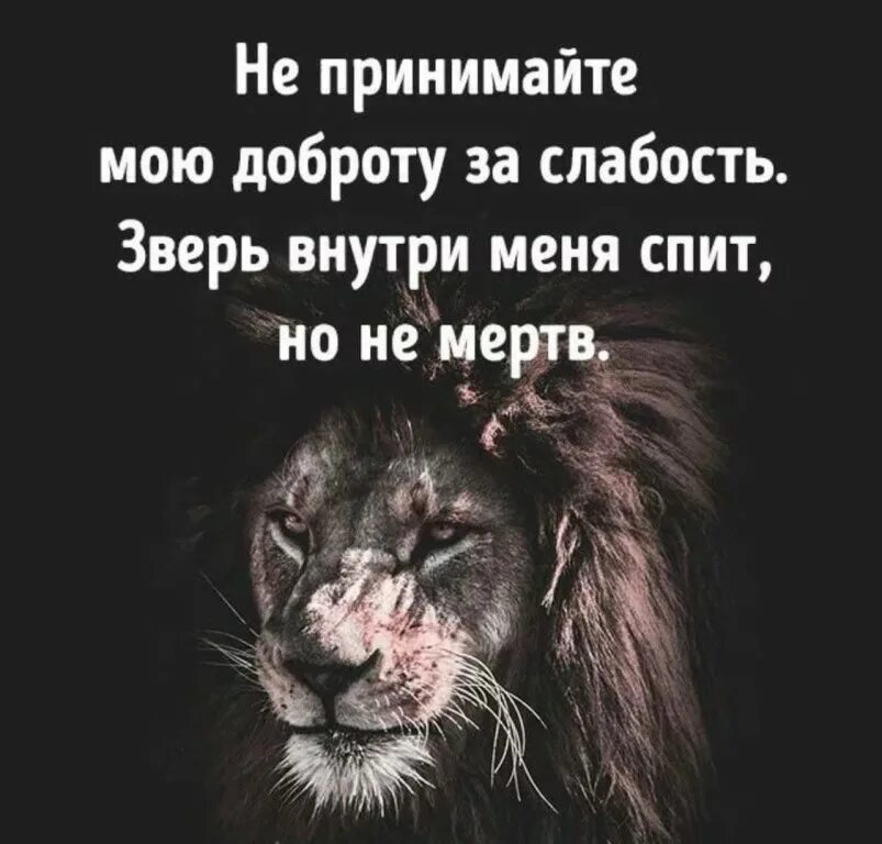 Вредно быть сильным. Доброту за слабость. Доброту принимают за слабость. Доброту за слабость принимают цитата. Доброта за слабость цитаты.