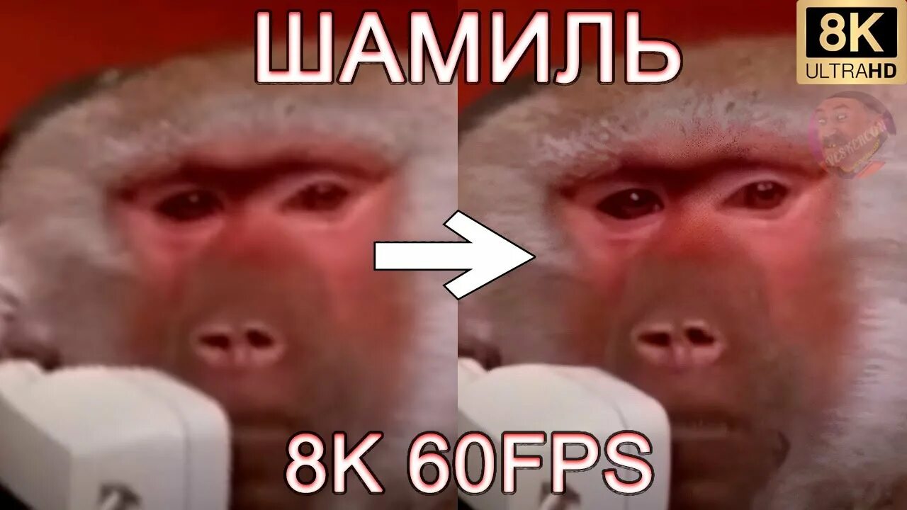 Чтоб твой розочкэ цвёл для Шамиля, Мем Ашотик влюбленный - Рисовач .Ру