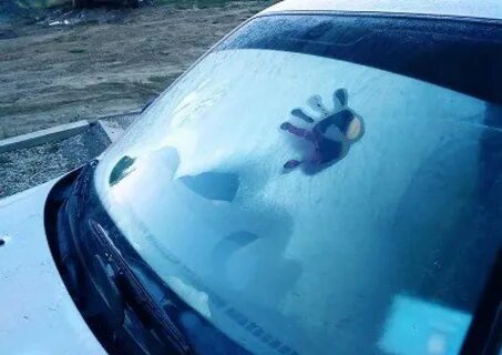 Замерз капот