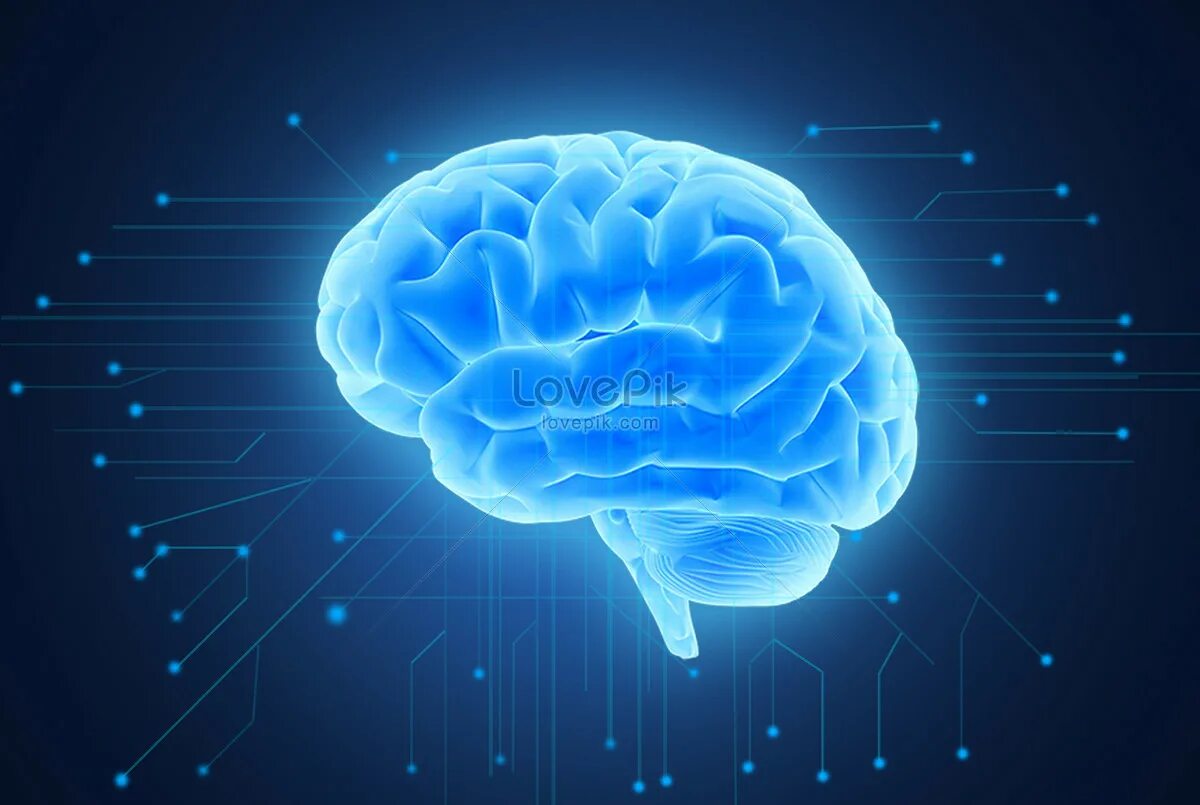 Синий интеллект. Мозг на синем фоне. Искусственный интеллект мозг. Креативный мозг.