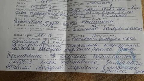 Жидкость за маткой на узи что это