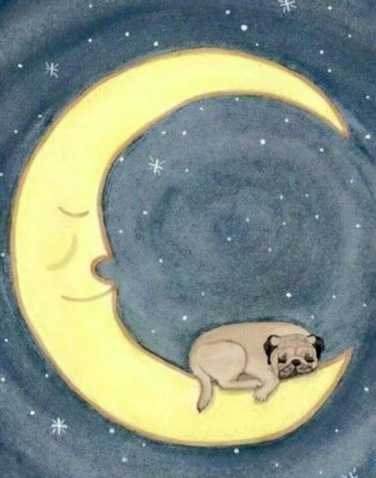 Собака луна. Собака ночью. Собака луна. Собака воет на луну. Собаки в космосе презентация.
