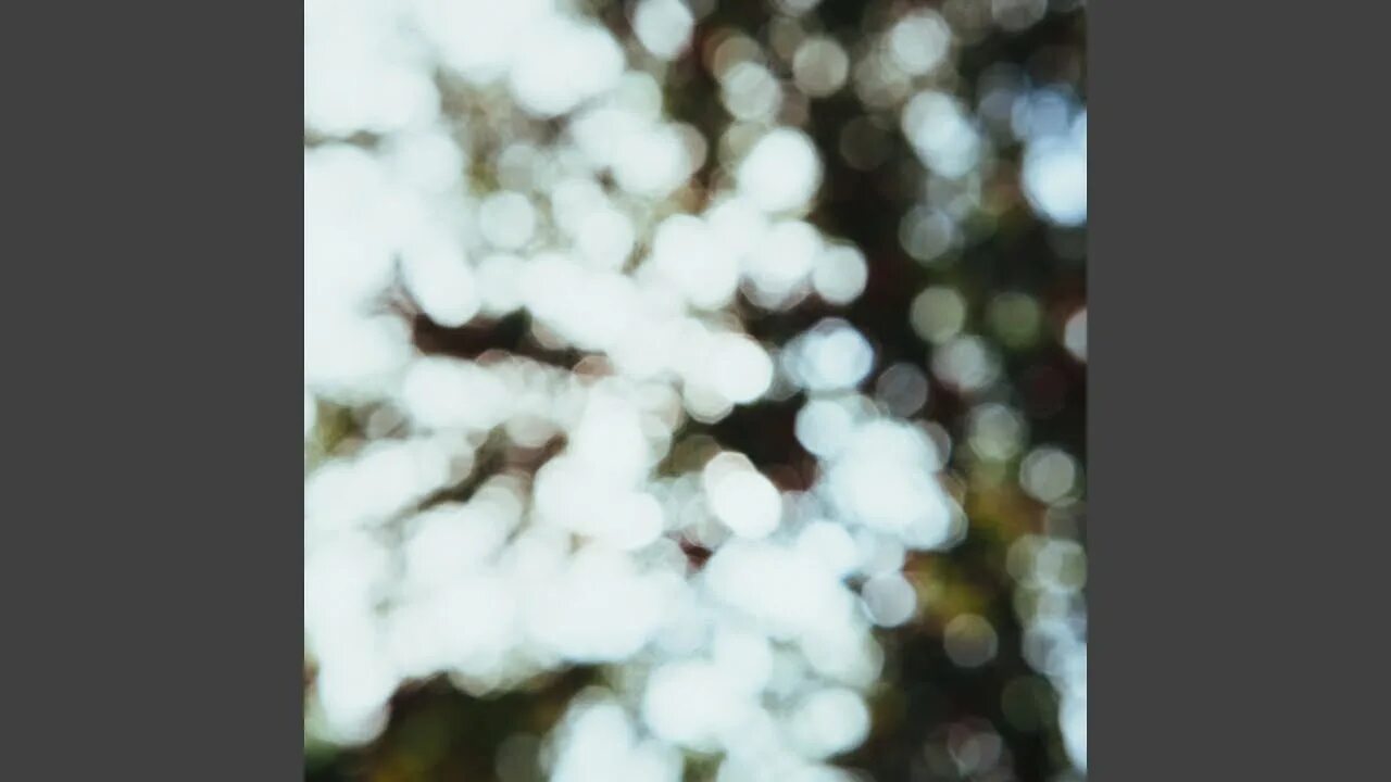 Боке природа. Фон боке. Фон для портрета боке. Фото боке что это. Торт бокэ.