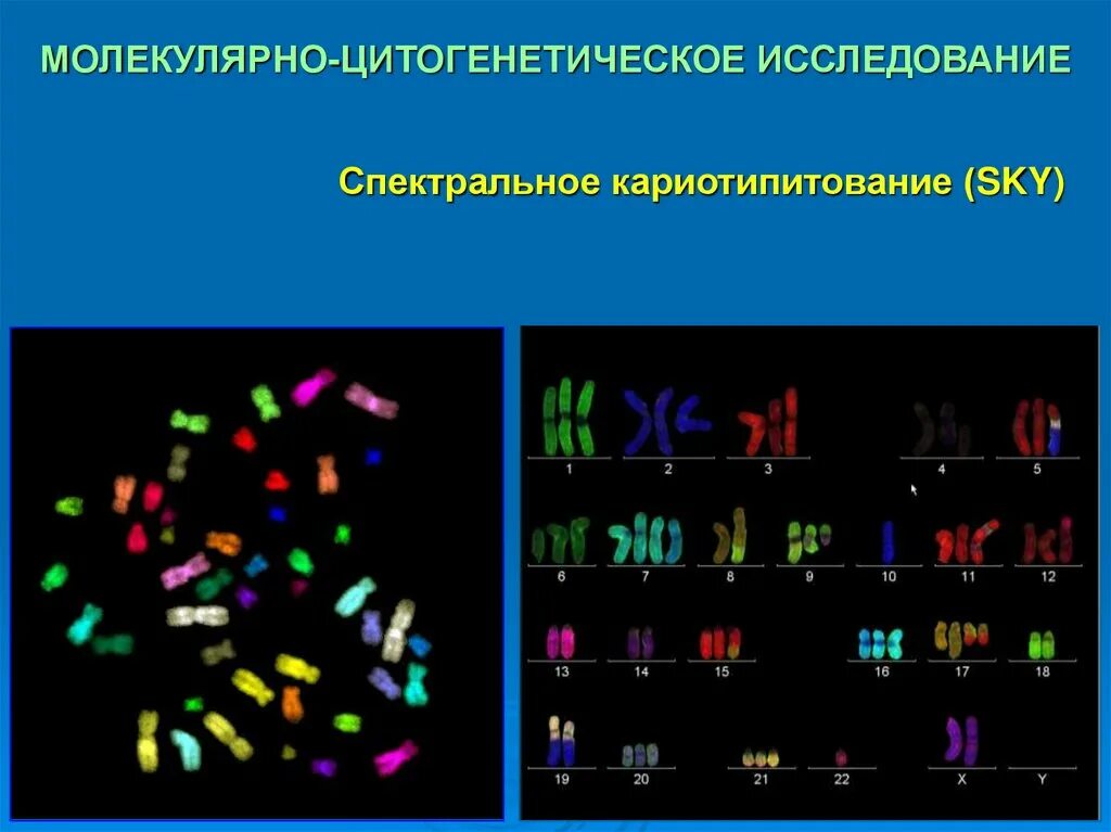 Молекулярно-генетические методы. Молекулярно цитогенетический метод в генетике. Молекулярно-генетические исследования в онкологии. Молекулярно цитогенетический метод диагностики. Цитогенетический метод наследственные заболевания