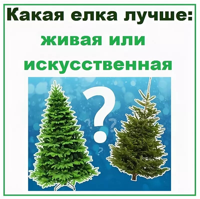 Искусственная и настоящая елка. Елка живая. Живая или искусственная елка. Искусственная и натуральная елка. Искусственная и натуральная елка.