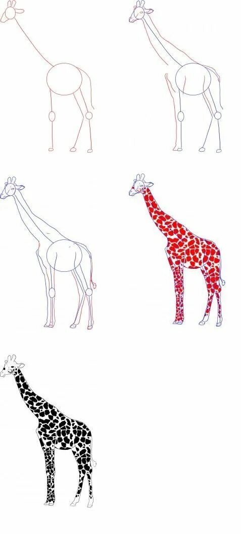 Как нарисовать жирафа. Пошаговое рисование жирафа. Жираф рисунок карандашом. Рисунок жирафа для детей карандашом. На рисунке изображен жираф
