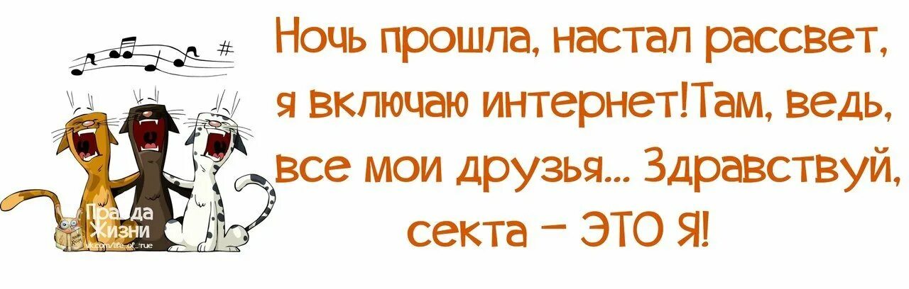 Включи интернет друг. Смешные афоризмы про интернет. Смешные цитаты про интернет. Смешные высказывания про интернет. Прикольные афоризмы про интернет.