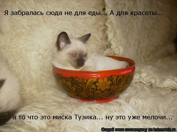 ты зачем сюда залезла