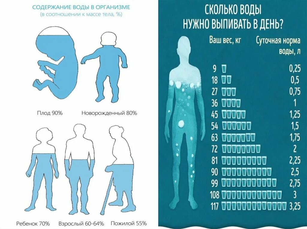 Сколько воды нужно на 1 кг веса. Норма употребления воды. Нормы выпитой воды на человека. Сколько воды нужно человеку в сутки. Норма воды в день для человека.