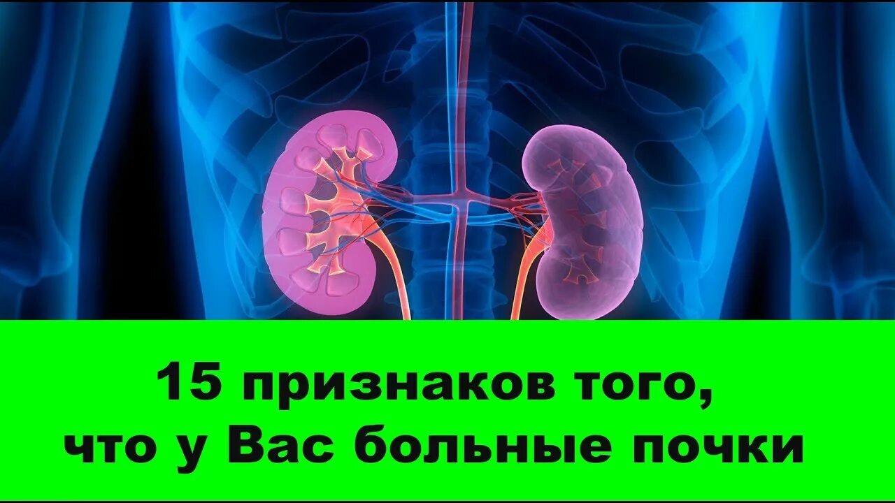 Как проявляется болезнь почек у мужчин. Здоровье почек.