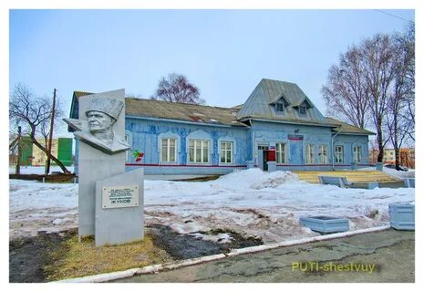 Туринск животные