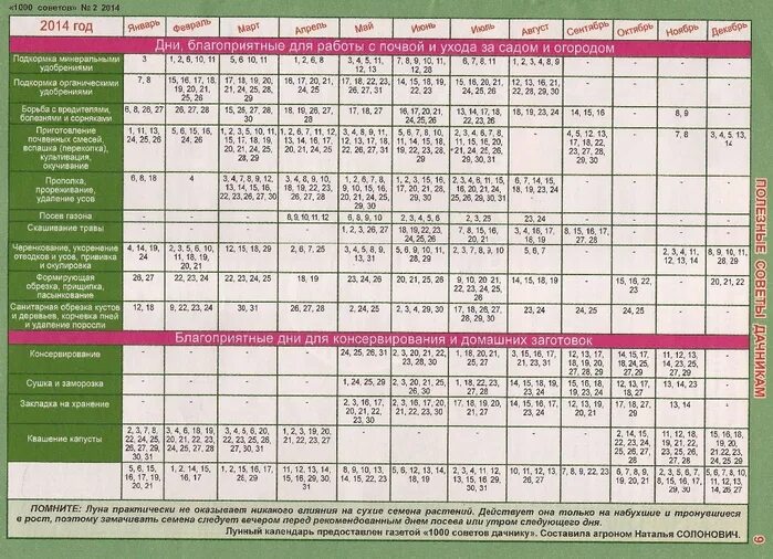 Благоприятные дни для посадки дыни. Дневник садовода. Дневник дачника. Календарь работ в саду и огороде по месяцам. Журнал посевов растений.