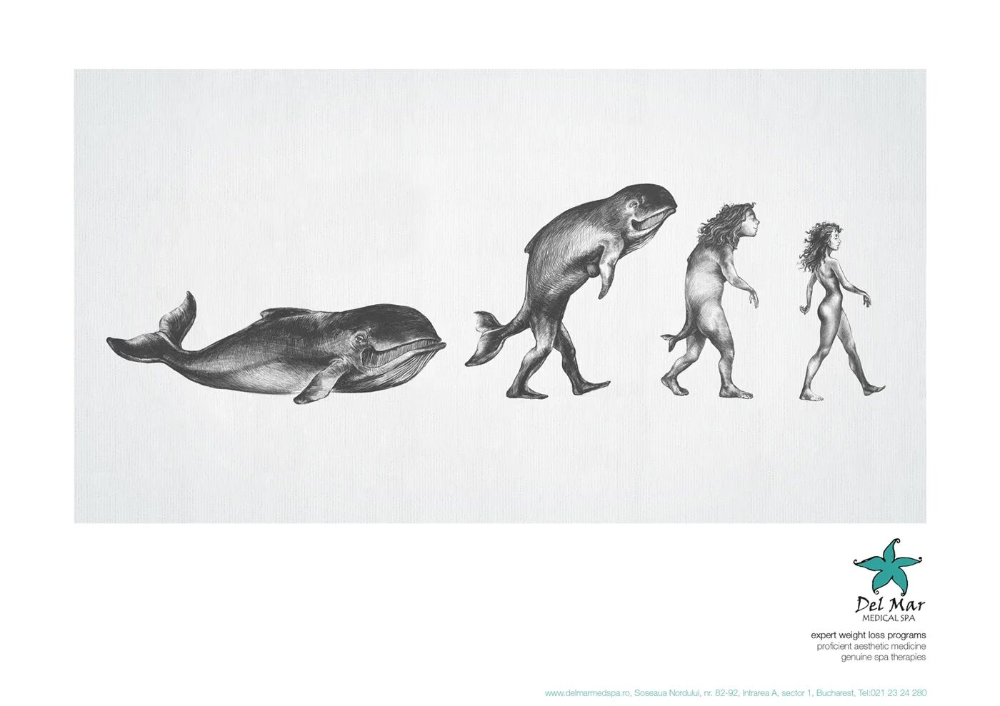Жизнь в воде эволюция. Теория эволюции Дарвина. Человек произошел от рыбы. Эволюция иллюстрация. Эволюция от рыбы.