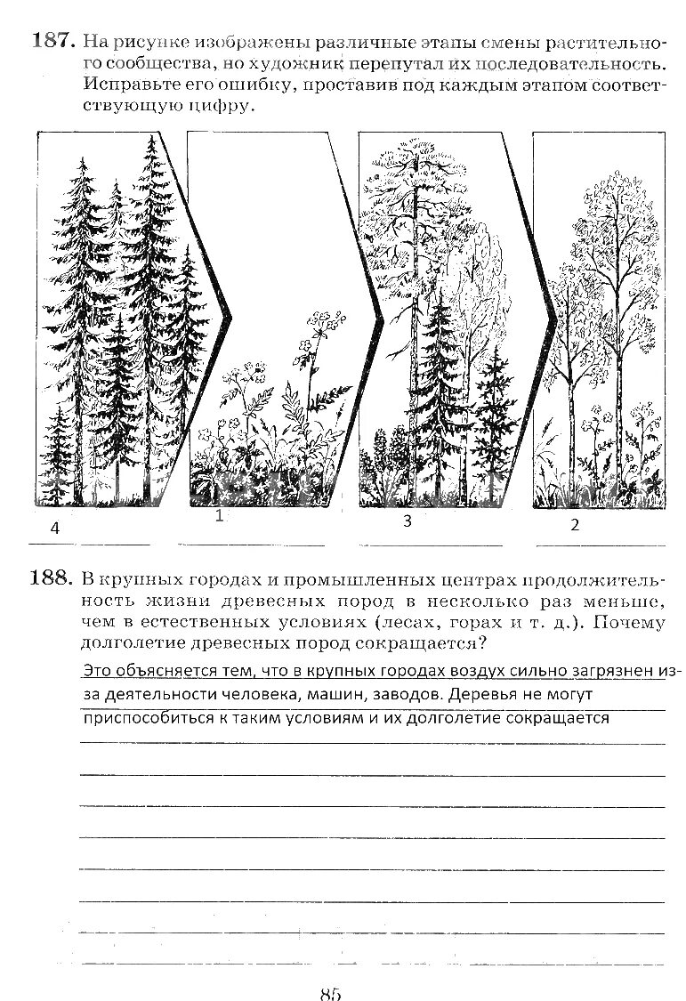 Этапы смены растительного сообщества. Смена растительных сообществ рисунок. Последовательность смены растительных сообществ. На рисунке изображены этапы смены растительного сообщества. Смена растительных сообществ 6 класс биология.