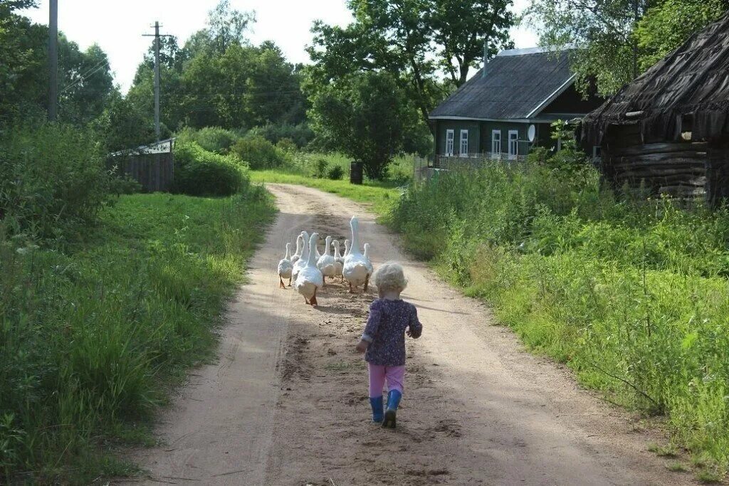 Люди переехавшие в деревню. Детство в деревне летом. Лето в деревне детство. Деревенская дорога в деревне. Деревня моего детства.