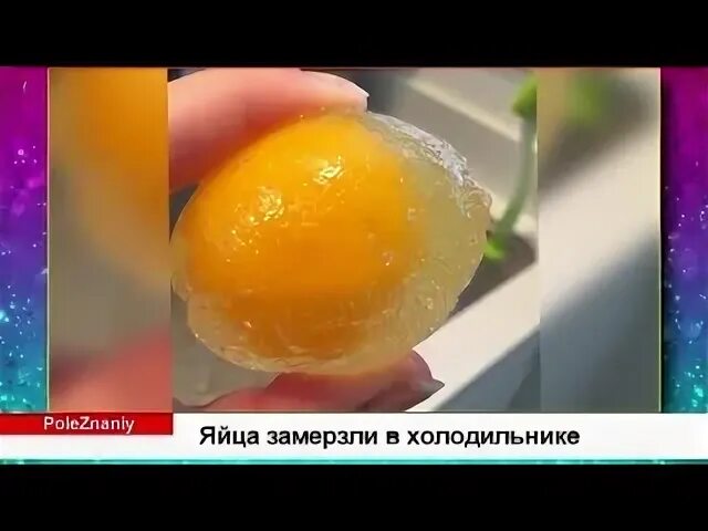 Яйцо замерзает при температуре. Яйцо замерзает при температуре