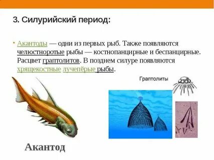 Эра расцвета рыб