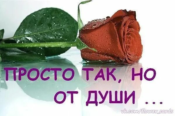 Ее просто так чтобы. Открытка &quot;просто так&quot;. цветы для души просто так. просто так от души. открытка просто так от души.