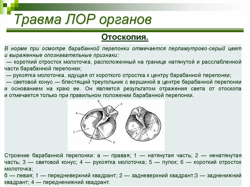 Травмы лор органов