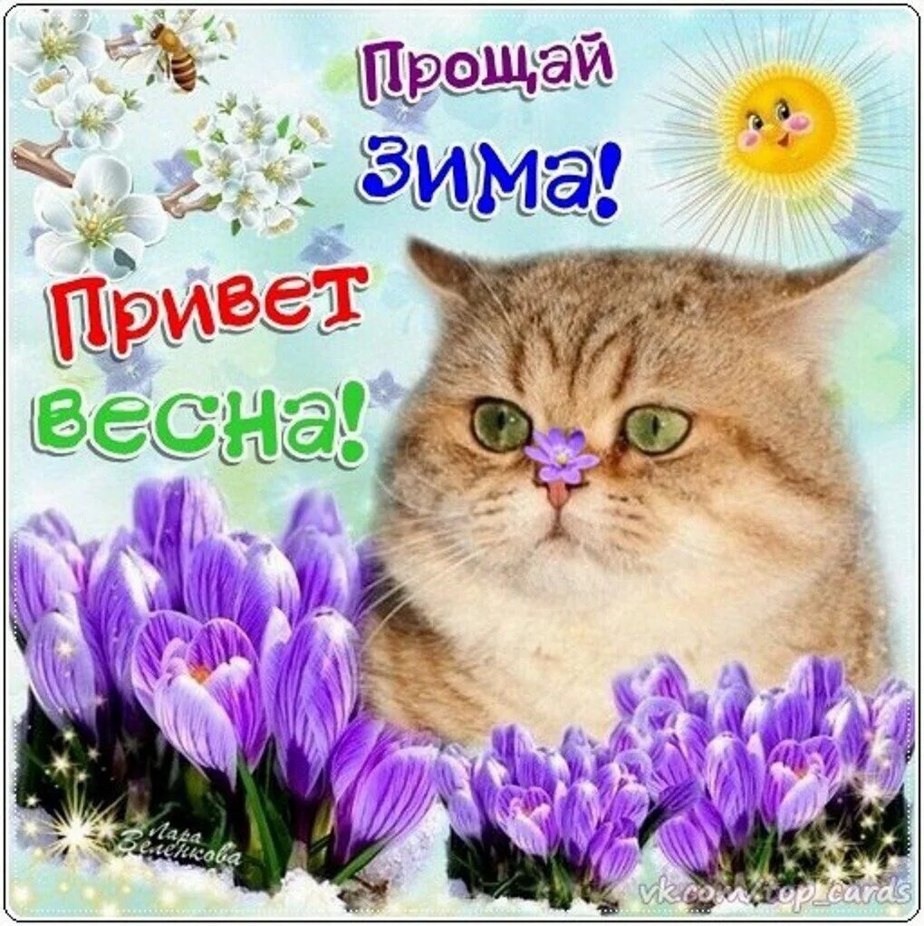 Весенний привет