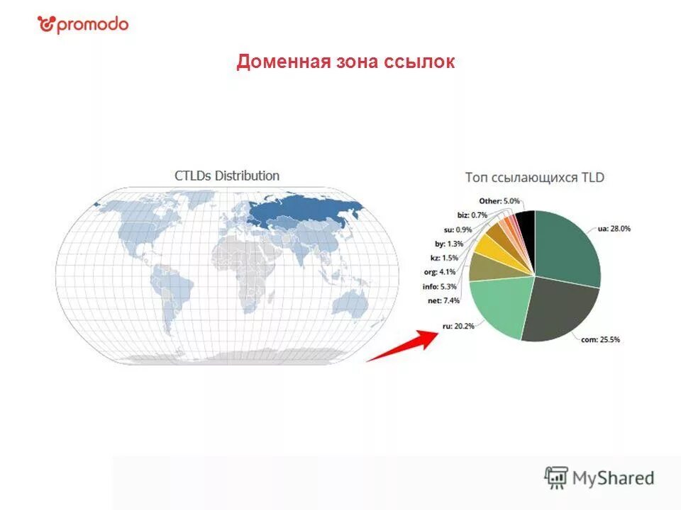 доменная зона net