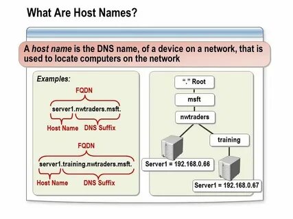 You are host