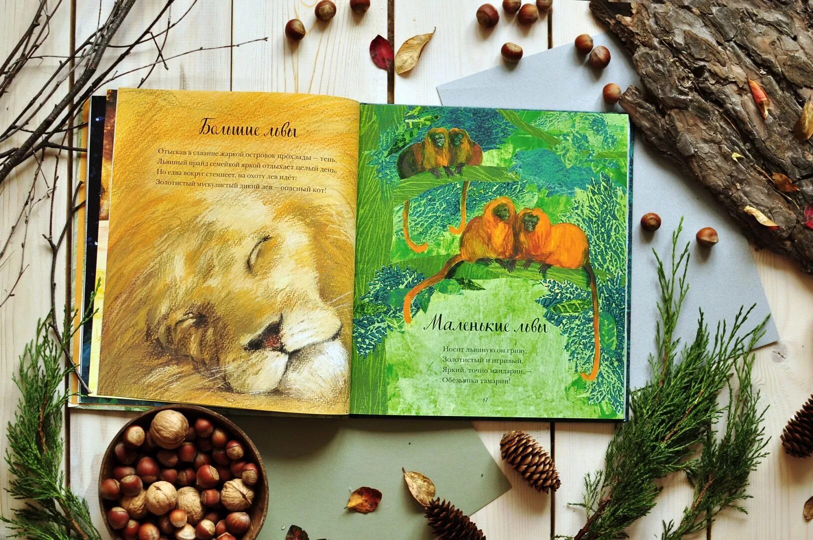 Коллекция притч о животных. Красивая книга о животных. самая красивая книга о животных. красивая книга о животных миф. дизайн книги про животных.