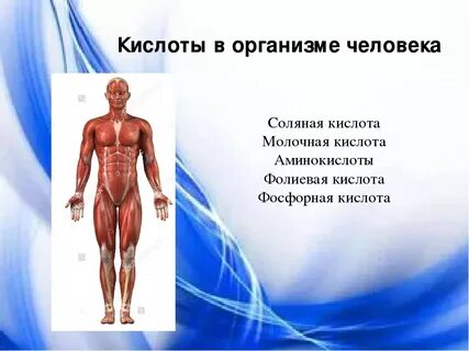 Виды кислот человека