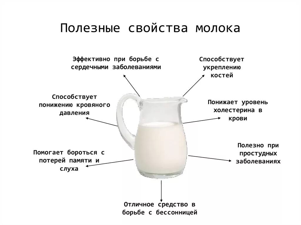 Перечислите основные свойства молока. Польза молока. Чем полезно молоко. Польза молока и молочных продуктов. Какое молоко добавляют в пищу