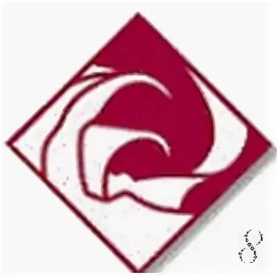 Ibm rose. Ibm rational rose xde. rational rose logo. ibm rational rose логотип. логотип рационал.
