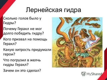 Цель моя победить эту многоголовую гидру