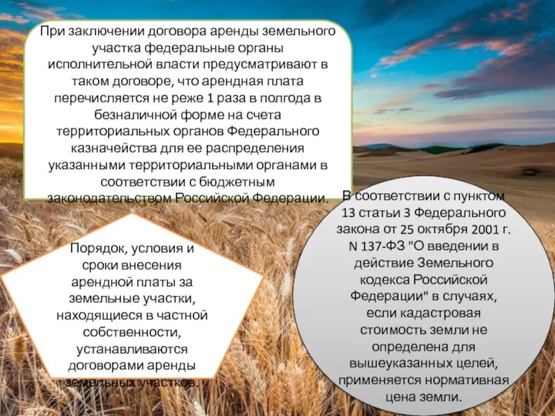 Заключение сделки на земельный участок. Заключение сделки на земельный участок. Правовое регулирование сделок с земельными участками. Заключение договора аренды земельного участка схема. Виды сделок с землей.