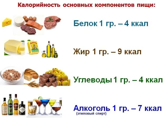 1 г белка кдж. Белки жиры углеводы энергетическая ценность. Энергетическая ценность 1 г жира составляет. Энергетическая ценность белков и углеводов. Энергетическая ценность компонентов пищи.