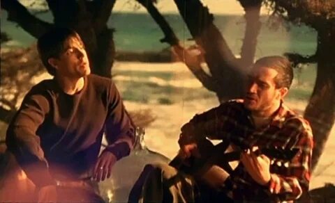 Trippin red hot chili peppers