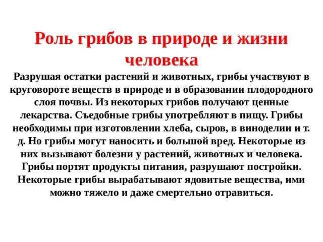 Сообщение на тему роль грибов в природе и жизни человека кратко. Сообщение о роли грибов в природе и жизни человека. Сообщение роль грибов в жизни человека. Информация о роли грибов в жизни человека.