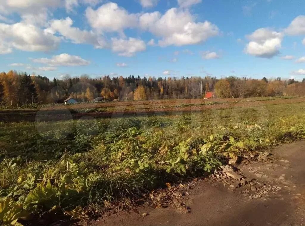 Хвалово. Хвалово лен обл. Хвалово фото. Погода в Хвалово на 10.