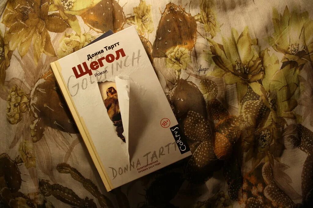 Щегол донна краткое содержание. Книга щегол (тартт донна). донна тартт в детстве.