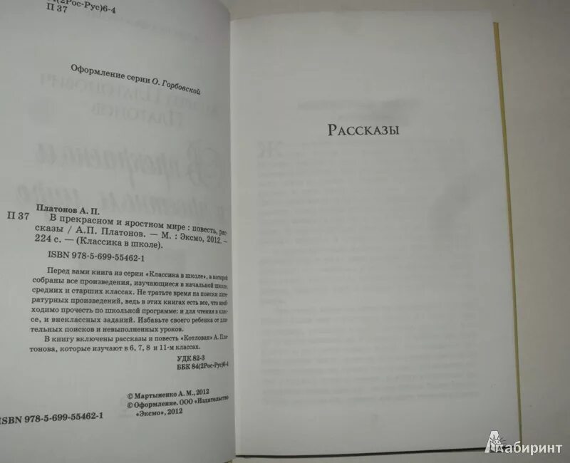 Читательский дневник прекрасном и яростном мире платонов