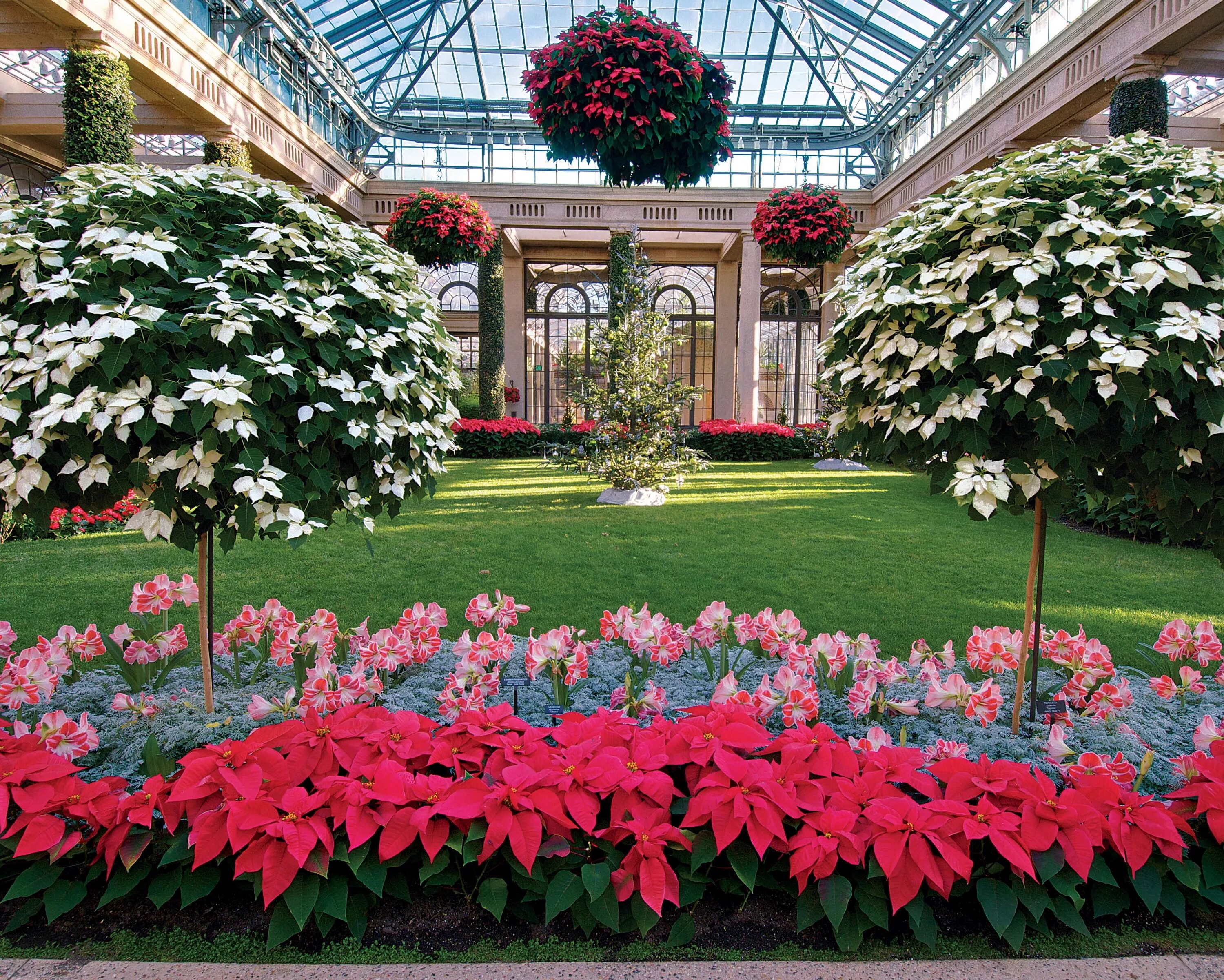 Лонгвуд Гарденс. Оранжерея Сан-Франциско. _Longwood Gardens-сады Лонгвуда.