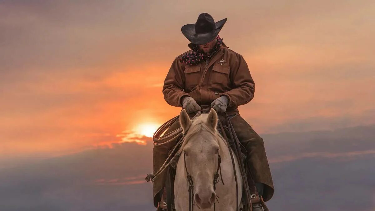 Обои стоять ковбой. Дикий запад rdr 2. Человек в шляпе. Обои стоять ковбой. Ковбой на закате.